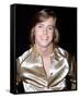 Shaun Cassidy-null-Framed Stretched Canvas