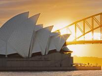 Australia, New South Wales, Sydney, Sydney Opera House, Boat in Harbour at Sunrise-Shaun Egan-Photographic Print