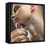 Shaving-Coneyl Jay-Framed Stretched Canvas