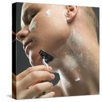 Shaving-Coneyl Jay-Stretched Canvas