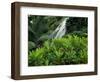 Shaw Park Gardens, Jamaica, Caribbean-Robin Hill-Framed Photographic Print