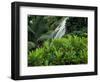 Shaw Park Gardens, Jamaica, Caribbean-Robin Hill-Framed Photographic Print