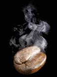 A Freshly Roasted Coffee Bean with Steam-Shawn Hempel-Laminated Photographic Print