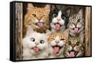 Framed Canvas