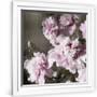 Gramercy White