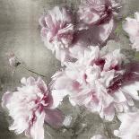 Peonies on Indigo II-Shawna Sullivan-Art Print