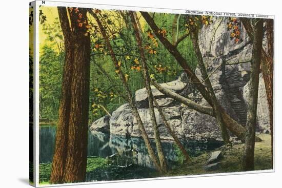 Shawnee National Forest, Illinois, Scenic View in Southern Illinois-Lantern Press-Stretched Canvas