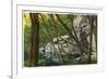 Shawnee National Forest, Illinois, Scenic View in Southern Illinois-Lantern Press-Framed Premium Giclee Print