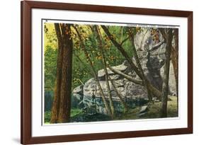 Shawnee National Forest, Illinois, Scenic View in Southern Illinois-Lantern Press-Framed Premium Giclee Print