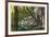 Shawnee National Forest, Illinois, Scenic View in Southern Illinois-Lantern Press-Framed Premium Giclee Print