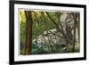 Shawnee National Forest, Illinois, Scenic View in Southern Illinois-Lantern Press-Framed Premium Giclee Print