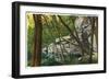 Shawnee National Forest, Illinois, Scenic View in Southern Illinois-Lantern Press-Framed Art Print