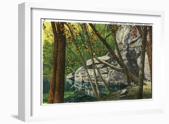 Shawnee National Forest, Illinois, Scenic View in Southern Illinois-Lantern Press-Framed Art Print