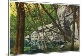 Shawnee National Forest, Illinois, Scenic View in Southern Illinois-Lantern Press-Mounted Art Print