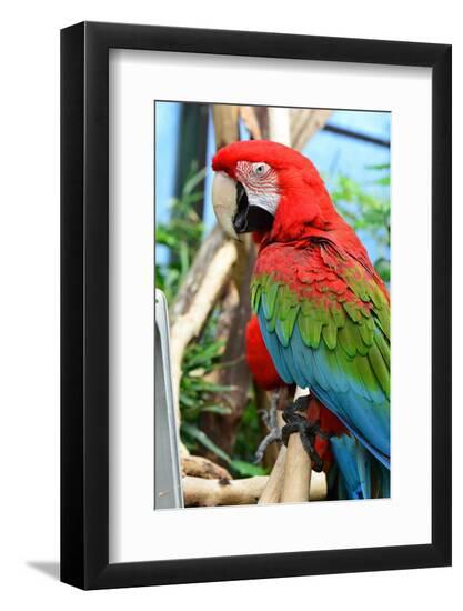 Photographic Print, , large