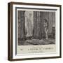 She, a History of Adventure-Edward Killingworth Johnson-Framed Giclee Print