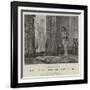 She, a History of Adventure-Edward Killingworth Johnson-Framed Giclee Print