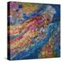 She Dreamed She Could Fly-Margaret Coxall-Stretched Canvas