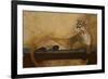 She’s a Cougar-Jan Panico-Framed Giclee Print