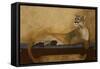 She’s a Cougar-Jan Panico-Framed Stretched Canvas