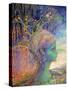 She Shall Have Music Wherever She Goes-Josephine Wall-Stretched Canvas