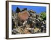 She Who Watches, Tsagaglalal Petroglyph, Washington, USA-Jaynes Gallery-Framed Photographic Print