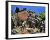 She Who Watches, Tsagaglalal Petroglyph, Washington, USA-Jaynes Gallery-Framed Photographic Print