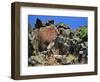 She Who Watches, Tsagaglalal Petroglyph, Washington, USA-Jaynes Gallery-Framed Photographic Print