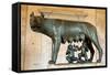 She-Wolf Bronze Sculpture-null-Framed Stretched Canvas