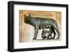 She-Wolf Bronze Sculpture-null-Framed Photographic Print