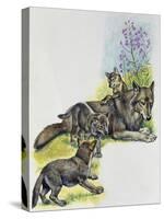 She-Wolf (Canis Lupus) with Her Cubs, Canidae-null-Stretched Canvas