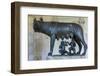 She Wolf Sculpture Dating from the 5th Century Bc-James Emmerson-Framed Photographic Print