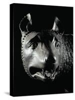 She-Wolf Sucklimg Romulus and Remus-null-Stretched Canvas