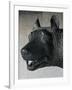 She-Wolf Suckling Romulus and Remus (Mythical Founders of Rome)-null-Framed Giclee Print