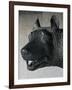 She-Wolf Suckling Romulus and Remus (Mythical Founders of Rome)-null-Framed Giclee Print