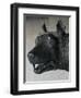 She-Wolf Suckling Romulus and Remus (Mythical Founders of Rome)-null-Framed Giclee Print