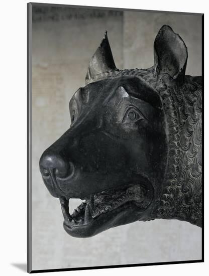 She-Wolf Suckling Romulus and Remus (Mythical Founders of Rome)-null-Mounted Giclee Print