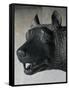 She-Wolf Suckling Romulus and Remus (Mythical Founders of Rome)-null-Framed Stretched Canvas