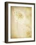 She Wore Lace 2-Jessica Rogers-Framed Giclee Print