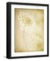 She Wore Lace 2-Jessica Rogers-Framed Giclee Print