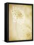 She Wore Lace 2-Jessica Rogers-Framed Stretched Canvas