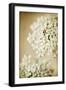 She Wore Lace-Jessica Rogers-Framed Giclee Print