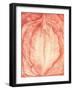 She-Karina Eibatova-Framed Giclee Print