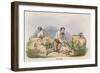 Shearing, C1845-Robert Kent Thomas-Framed Giclee Print