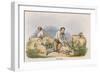 Shearing, C1845-Robert Kent Thomas-Framed Giclee Print