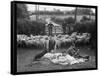 Shearing Sheep, Wales-Henry Grant-Framed Stretched Canvas