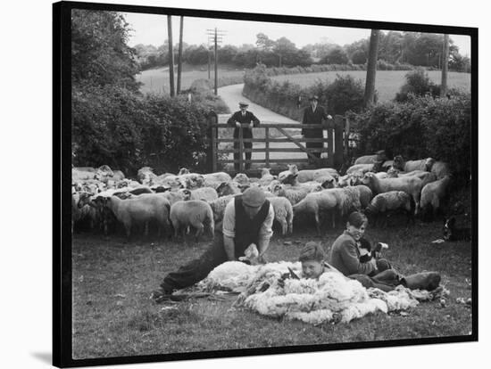 Shearing Sheep, Wales-Henry Grant-Stretched Canvas