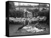 Shearing Sheep, Wales-Henry Grant-Stretched Canvas