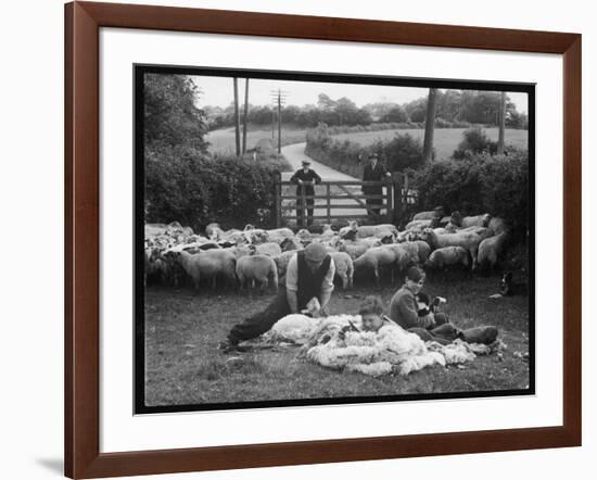 Shearing Sheep, Wales-Henry Grant-Framed Photographic Print