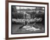 Shearing Sheep, Wales-Henry Grant-Framed Photographic Print